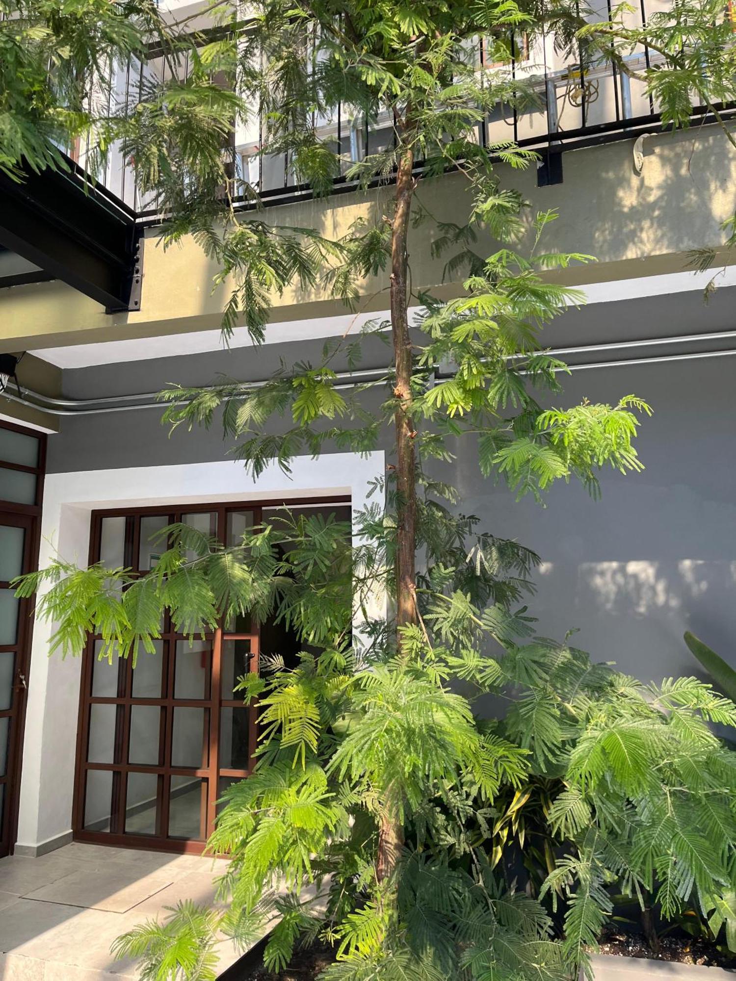 阿特利斯科 Eonia酒店 外观 照片